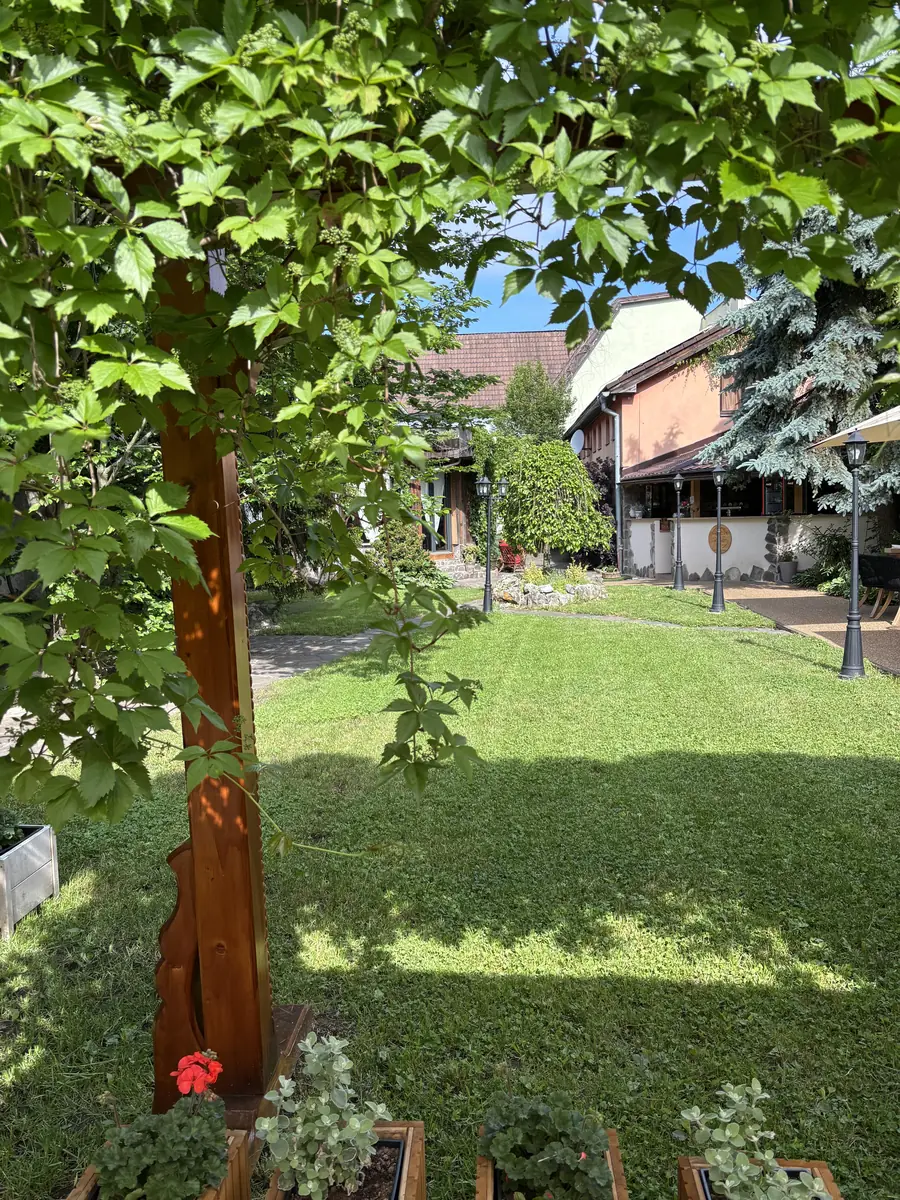 The green garden and its mature trees